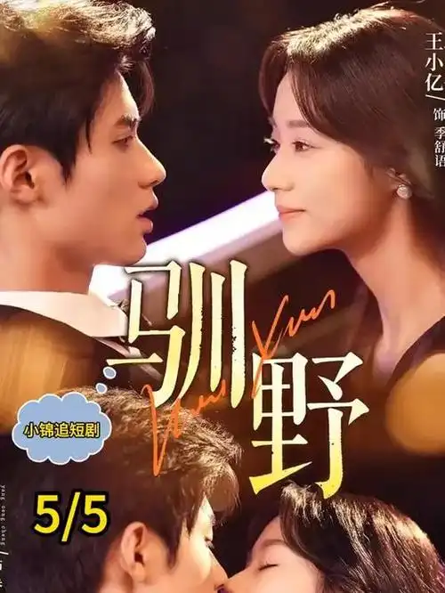 长风渡口古装权谋剧全集在线
